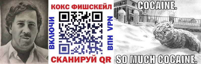 Купить закладки  Нерюнгри  Cocaine 97% 