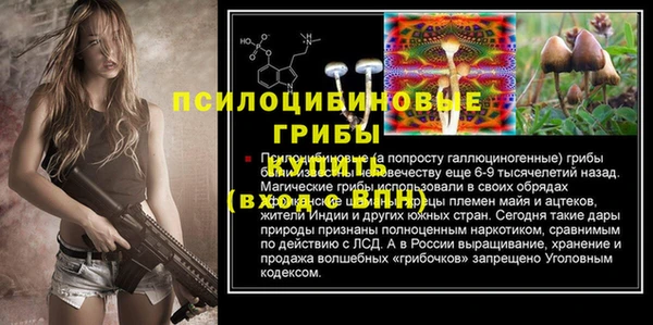 а пвп мука Кодинск